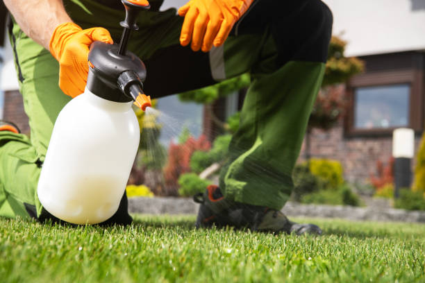Wasp Removal Services in Battle Ground, IN