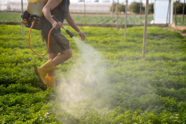 Trusted Battle Ground, IN Pest Control Experts