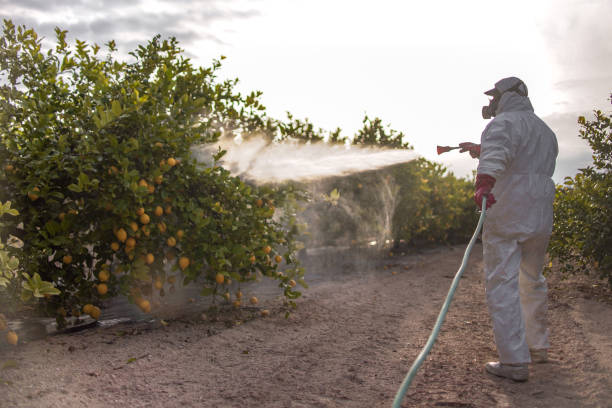 Pest Control Cost in Battle Ground, IN