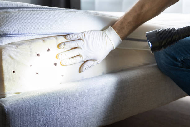 Best Pest Removal Services  in Battle Ground, IN