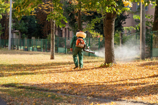 Best Local Pest Control Services  in Battle Ground, IN