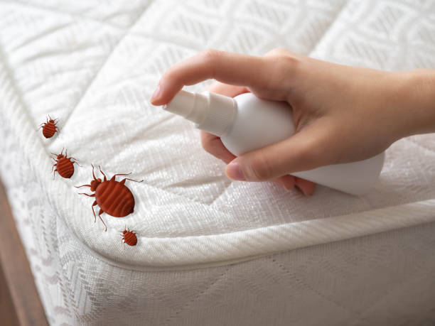 Best Flea Control Services  in Battle Ground, IN