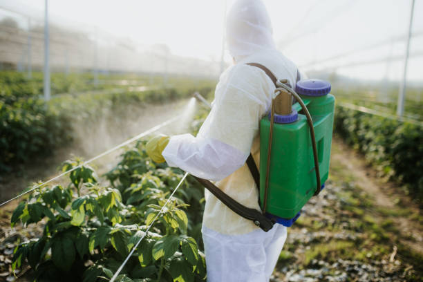 Best Wildlife Control Services  in Battle Ground, IN